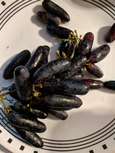 These Grapes Are Shaped Like Sausages Rmildlyinteresting