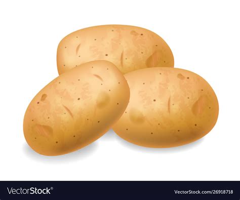 Potatoes Realistic Isolated On White 3d Royalty Free Vector