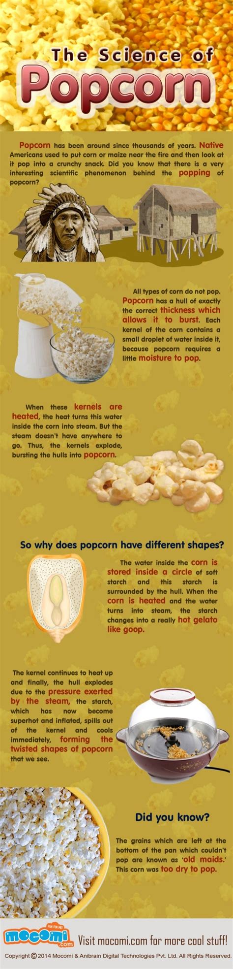 Why Does Popcorn Pop Mocomi Kids