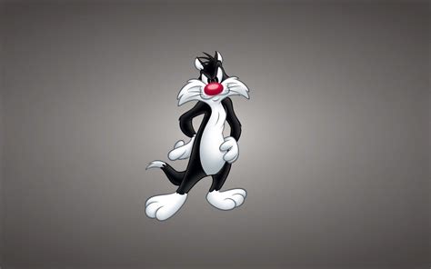 Sylvester The Cat Wallpapers Top Free Sylvester The Cat Backgrounds
