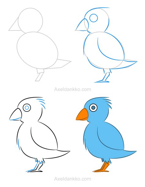 How To Draw A Bird Comment Dessiner Un Oiseau Art Drawings For Kids