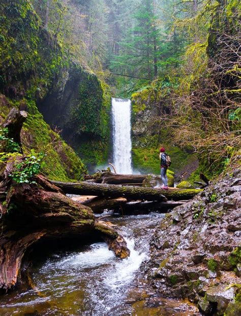 6 Incredible Waterfalls To Visit Near Portland Oregon In 2020 Oregon