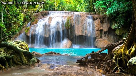 Waterfall Rainforest Wallpapers Wallpaper Cave