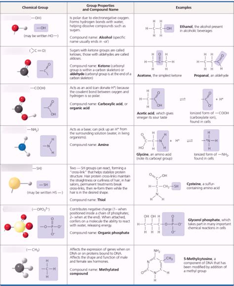 Topic 5 Sub Quizlet Diagram For Functional Groups Group Names Exam