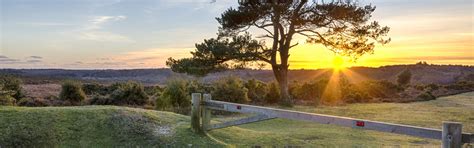 See more ideas about holiday cottage, hampshire, cottage. Luxury Holiday Cottages in Hampshire | kate & tom's