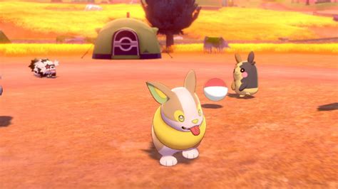 Check spelling or type a new query. New Pokemon Sword and Shield details: Pokemon Camp ...