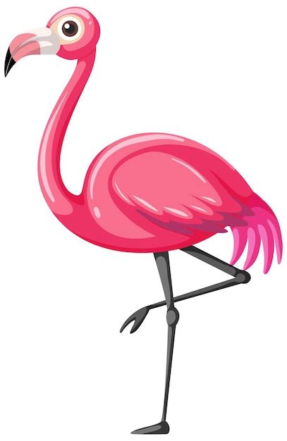 Flamingo Svg Vectors And Illustrations For Free Download Freepik