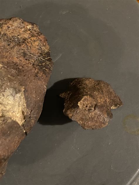 Rare Stony Iron Meteorite From Nevada Etsy