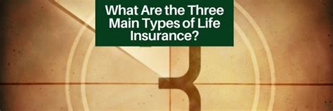 Health insurance motor insurance travel insurance home insurance fire insurance 2. What Are the Three Main Types of Life Insurance? • The Insurance Pro Blog