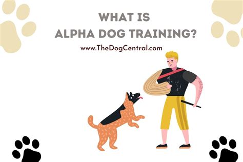 What Is Alpha Dog Training The Dog Central