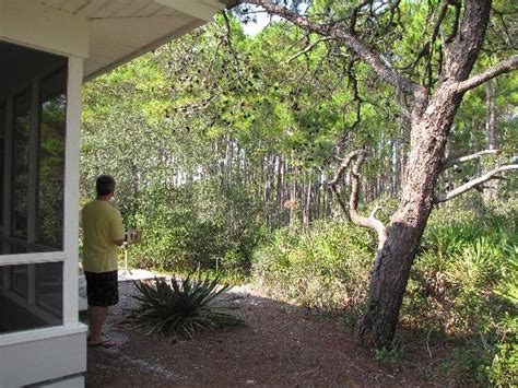 Walkway To Cabin Picture Of Cabins At Grayton Beach State Park Santa Rosa Beach TripAdvisor