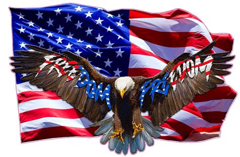 Soaring Bald Eagle American Flag Freedom Decal Sticker Etsy American Flag Eagle American