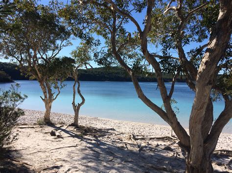 You can access the island by car ferry and boat services from rainbow beach, hervey bay, and river heads. Kingfisher Bay Resort - Fraser Island - Hervey Bay
