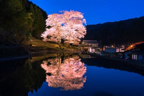 Saitama city north of tokyo with a few places of interest. The Most Beautiful Places in Japan (part 3) - Snakku