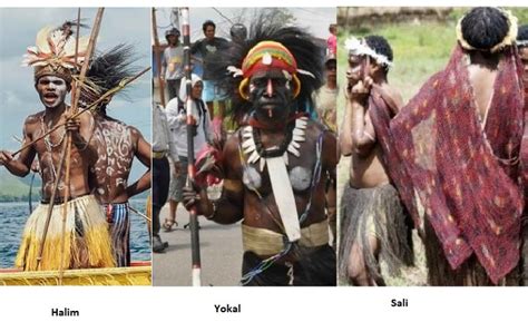 Pakaian Adat Papua Keunikan Penjelasan Dan Gambarnya