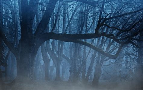 Why The Dark Forest Theory Is Probably Wrong By Dominikbutz