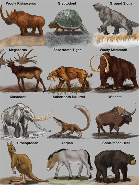 Here are some of the most amazing animals that have gone extinct. Image result for prehistoric mammals | Extinct animals ...