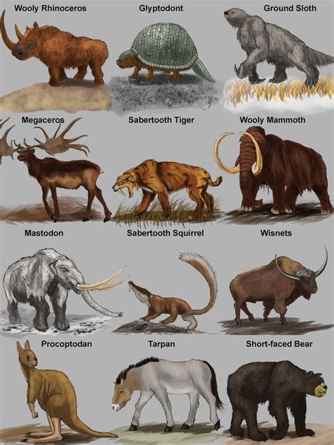 Scientists used dna taken from preserved epidermal samples to create a clone of a. Image result for prehistoric mammals | Extinct animals ...