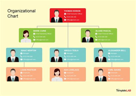 Como Montar Um Organization Chart Template