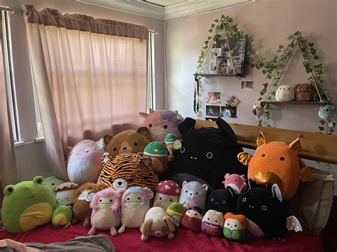 My collection gives me so much joy : squishmallow