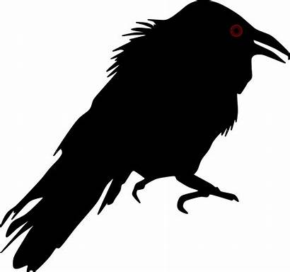 Crow Silhouette Raven Clipart Bird Svg Animal