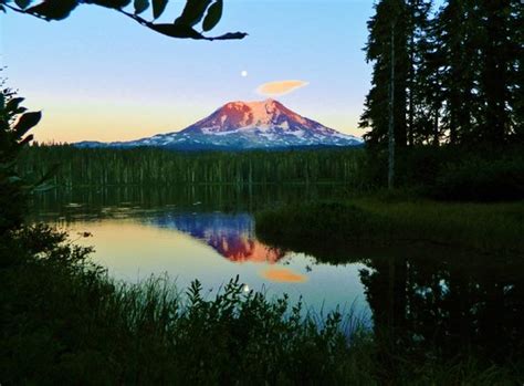 Mt Adams Reflection In Takhlakh Lake Picture Of Ford Pinchot