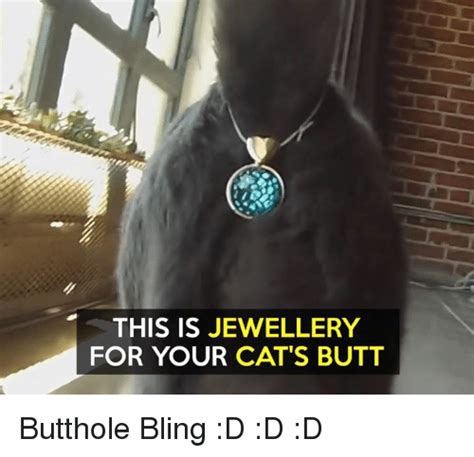 THIS IS JEWELLERY FOR YOUR CAT S BUTT Butthole Bling D D D Bling Meme On ME ME