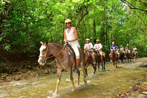Horseback Riding And Waterfall Tour Costa Rica Daily Tours