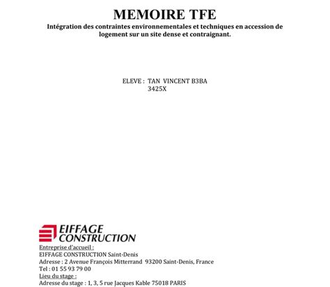 Exemple Problã©matique Tfe Infirmier Financial Report