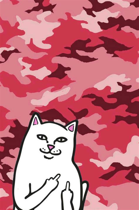 Find middle finger pictures and middle finger photos on desktop nexus. Pin on Ripndip
