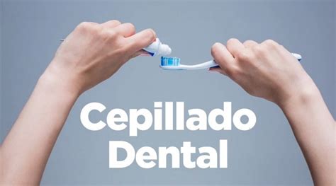 Importancia Del Cepillado Dental Noticias