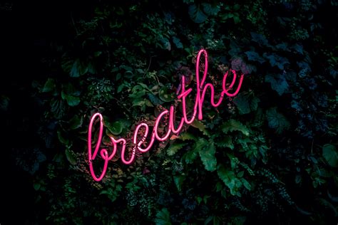 Color aesthetic iridescent pink aesthetic wear pink aesthetic tumblr backgrounds texture pastel pink aesthetic pastel pink. Aesthetic Wallpaper • Pink breathe neon sign wallpaper ...