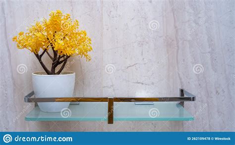 Bathroom Glass Shelf With A Mimosa Stock Photo Image Of Room House