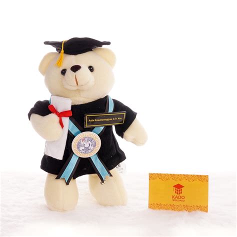 Jual Boneka Bear Berdiri Wisuda Kado Wisudaku