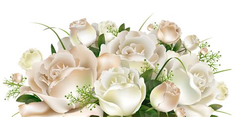 White Rose Border Png 10 Free Cliparts Download Images On Clipground 2023