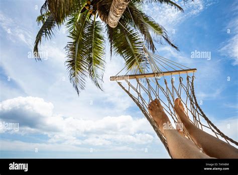 Palm Tree Hammock Beach Scene Hi Res Stock Photography And Images Alamy