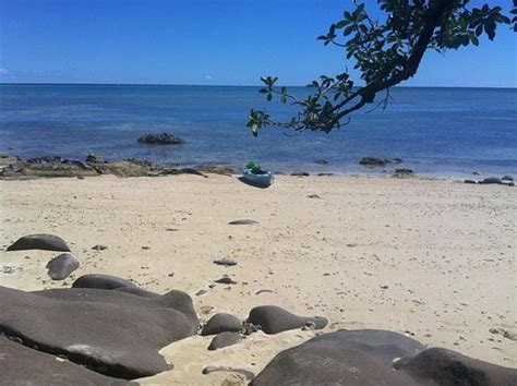 Papageno Resort Updated 2023 Prices And Reviews Fijikadavu Island