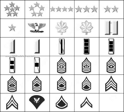Symbols For Military Ranks Flow Chart