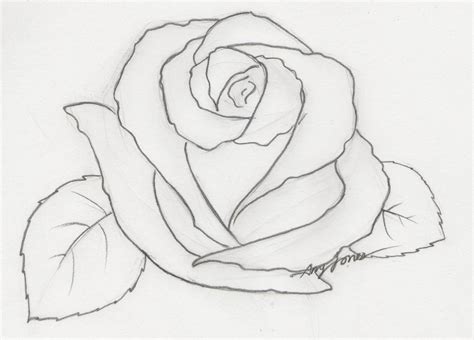 Rose Pencil Drawing Step By Step Bestpencildrawing