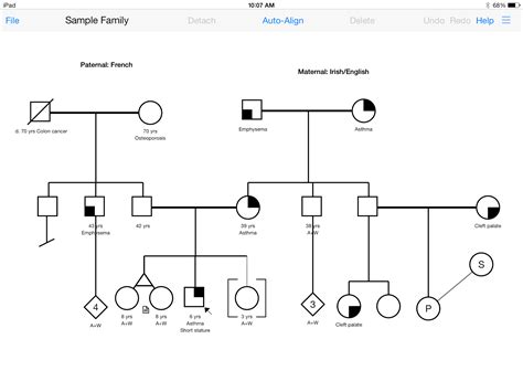 Find the perfect family tree stock illustrations from getty images. Genetic Counselors, Others Can Draw Pedigrees on the Spot ...