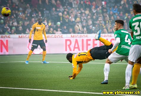 Want to go hiking in st. YB - FC St. Gallen 4:3 (2:2) | BSC Young Boys-Fotos von ...