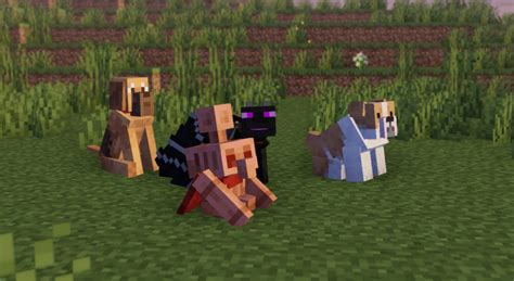 The Doggos Texture Pack For Minecraft 1182