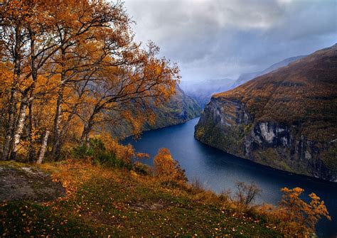Nature Landscape Fjord Norway Fall Trees Grass
