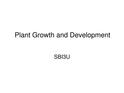 Ppt Plant Growth And Development Powerpoint Presentation Free
