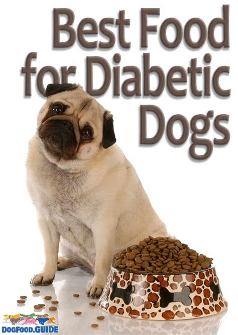 5 Best Dog Food For Diabetic Dogs Diabetic Dog Food Diabetic Dog