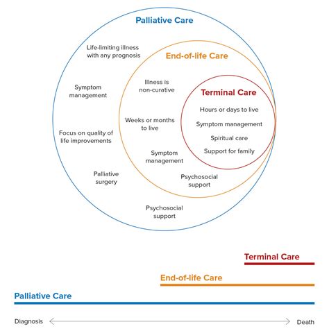 Palliative Care In Ontario Everything You Need To Know