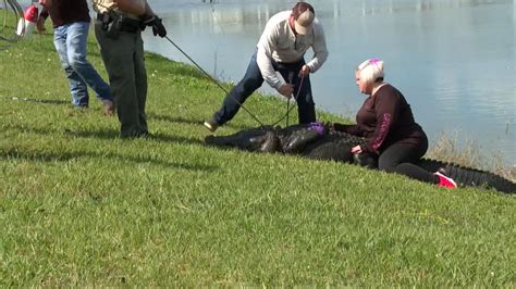 An 85 Year Old Woman Dies After Being Attacked By An Alligator In Florida