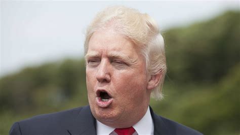 Why does Donald Trump's hair look like that? — Quartz