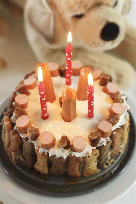 Viele von uns verbinden die weihnachtszeit mit tellern voller plätzchen und duft von frisch gebackenen keksen. Sugarprincess: Schmackofatzige Hundetorte für unseren ...