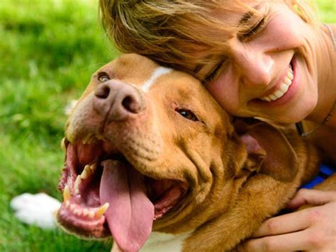 10 señales que confirman que tu perro te adora actitudfem